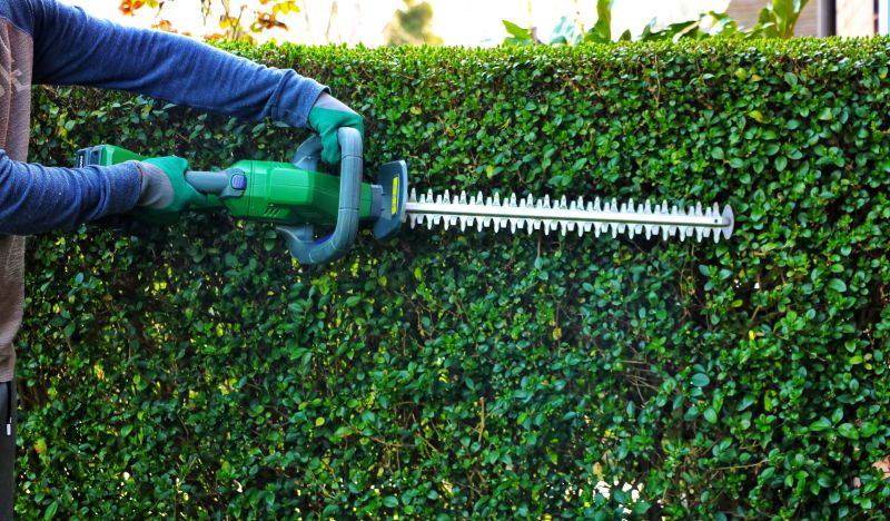 Increase Your Shrub Trimming Business with an AI Driven, Targeted Website