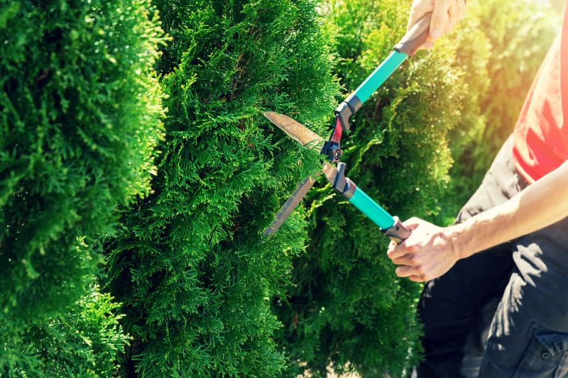 Shrub Pruning Tools